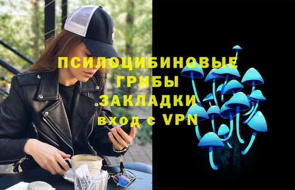 a pvp Арсеньев