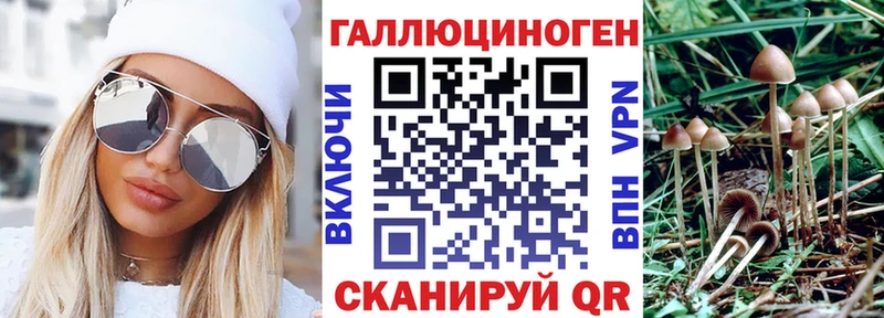цены наркотик ссылка на мегу как войти Псилоцибиновые грибы Magic Shrooms Урус-Мартан